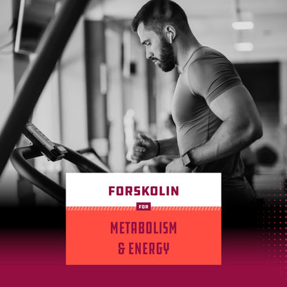 Pure Forskolin Extract - Fat Burning & Metabolism Boosting Weight Loss Supplement Natures CraftBuy Supplements Australia