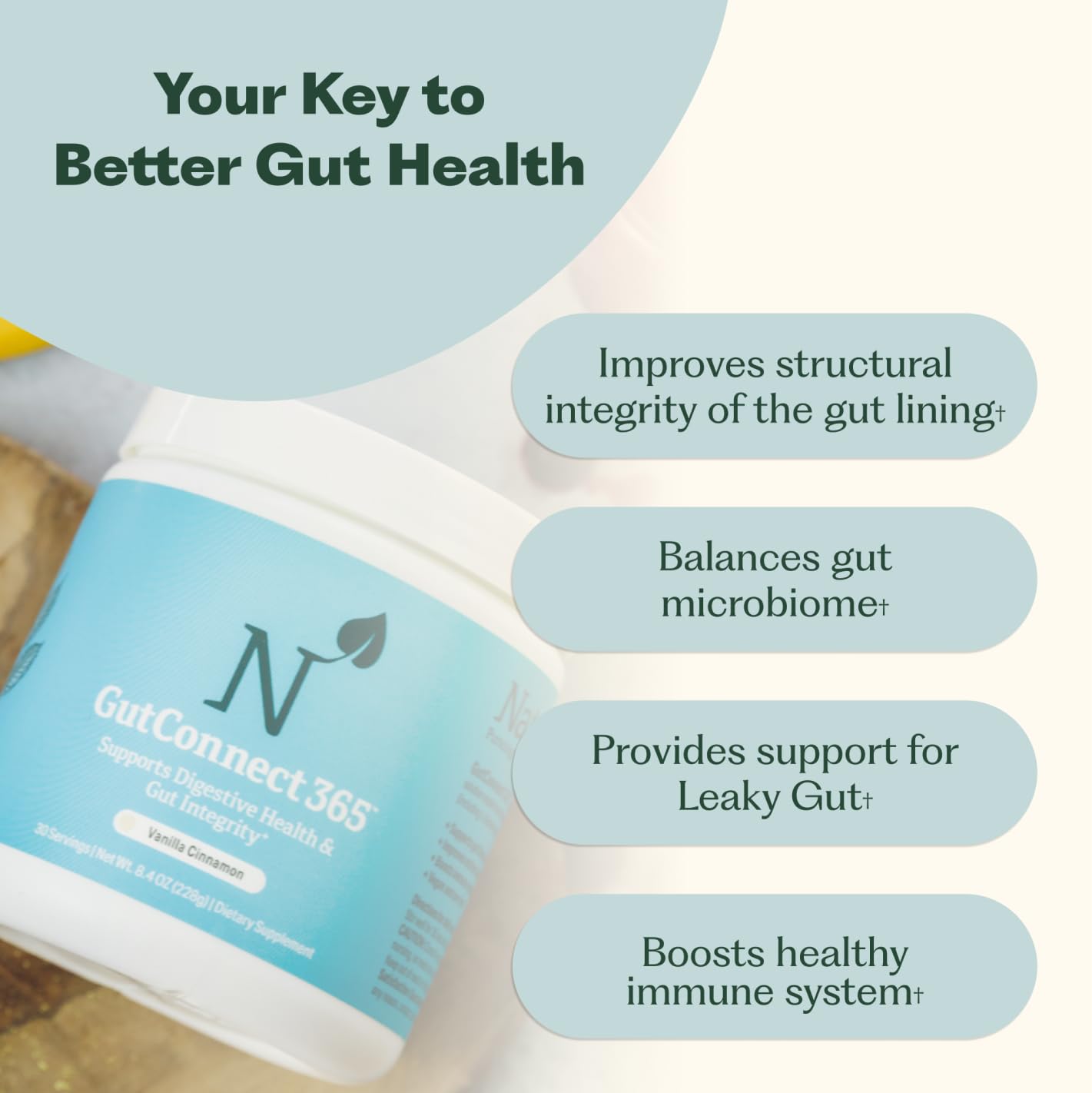 GutConnect 365 Gut Health Superfood Powder | Formulated With Slippery Elm Bark & L Glutamine | Vegan Certified | Allergen Free | Non-GMO | Soy Free | Made in the USA | 30 Servings – Vanilla Cinnamon Nature M.D.Buy Supplements Australia
