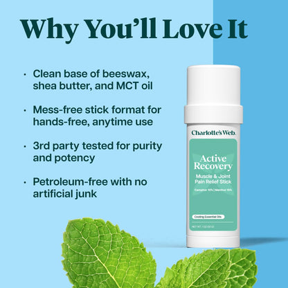 Charlotte's Web Active Recovery Muscle & Joint Pain Relief Stick 1oz Charlotte's WebBuy Supplements Australia