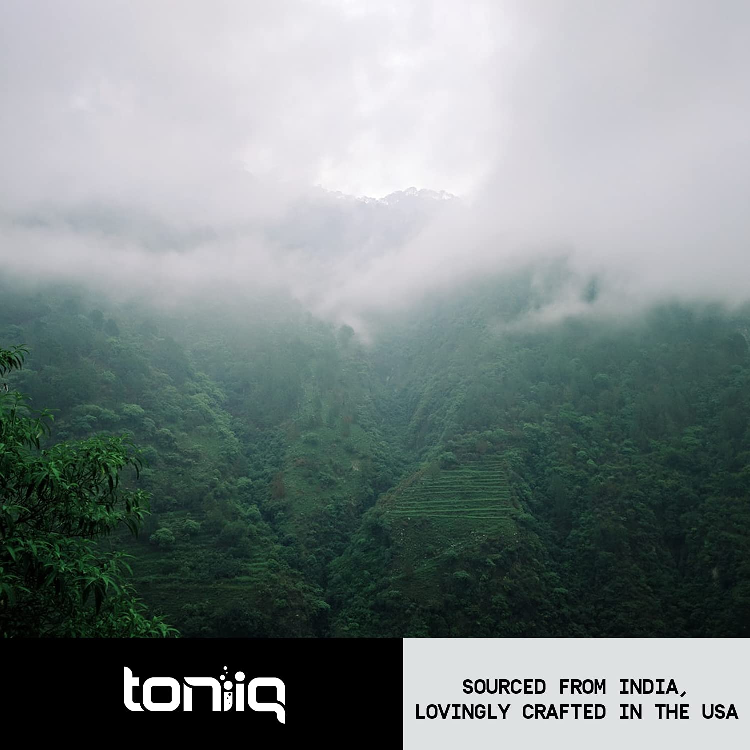 Toniiq 26,000mg 20x Concentrated Extract - 10% Withanolides - Ultra High Strength ToniiqBuy Supplements Australia