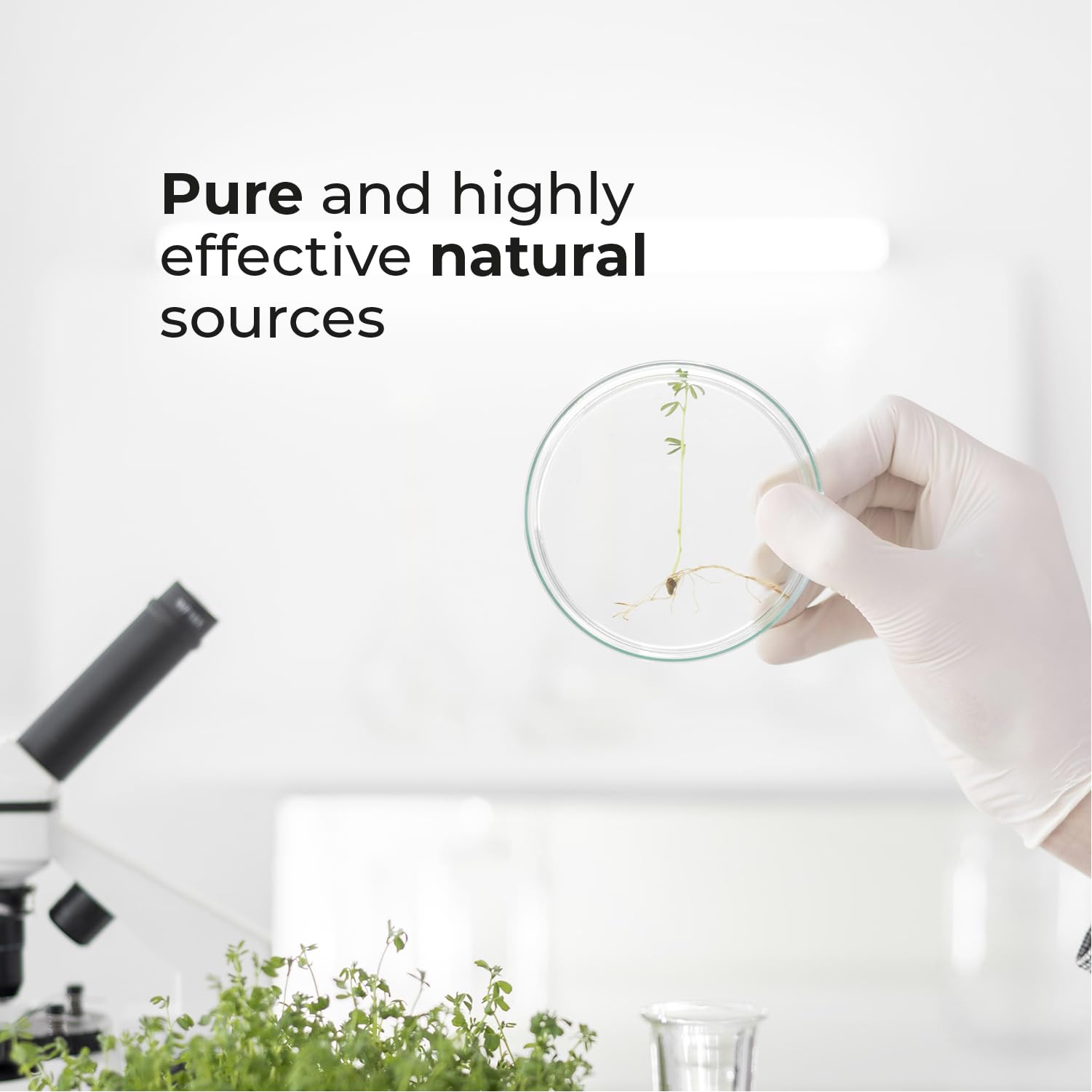 Biogenique Acai Berry Extract & Psyllium Powder, Energy Boost, Free Radical Scavenger BiogeniqueBuy Supplements Australia