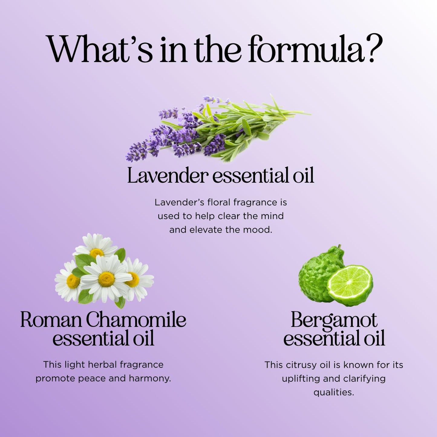 Sleep Essential Oil Blend for Diffuser - Snooze Blend Essential Oil for Sleep with Roman Chamomile Maple HolisticsBuy Supplements Australia