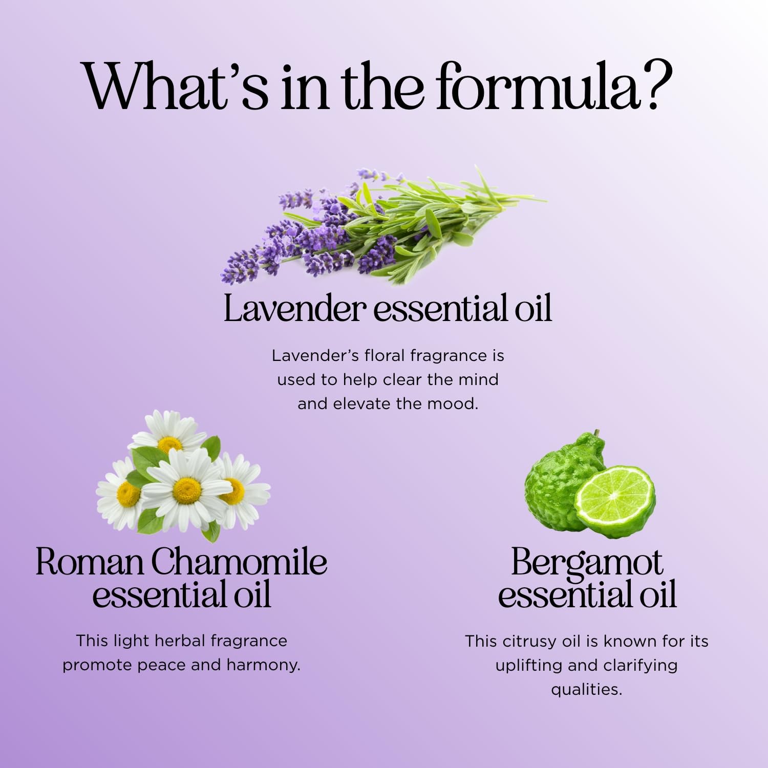 Sleep Essential Oil Blend for Diffuser - Snooze Blend Essential Oil for Sleep with Roman Chamomile Maple HolisticsBuy Supplements Australia