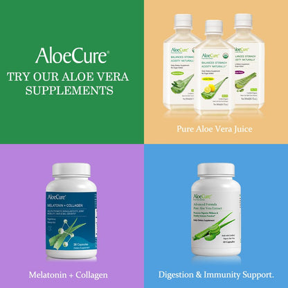 AloeCure VeraFlex Natural Joint Health, 60 Capsules, Clinically Tested Natural Plant-Based Formula to Support Comfort, Mobility and Flexibility - Featuring Organic Aloe Vera, 3-Pack AloeCureBuy Supplements Australia