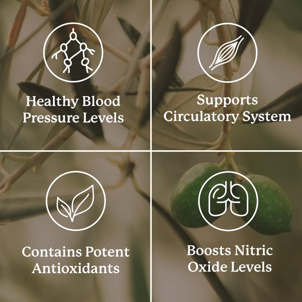 Nature's Sunshine Blood Pressurex 60 Capsules Nature's SunshineBuy Supplements Australia