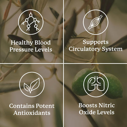 Nature's Sunshine Blood Pressurex 60 Capsules Nature's SunshineBuy Supplements Australia