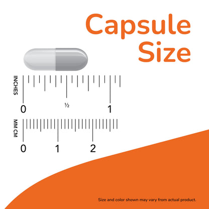 NOW Foods Supplements, Empty Gelatin Capsules, Single "0", Bovine Sourced, Filled by Weight, 1,000 Gel Capsules NOW FoodsBuy Supplements Australia