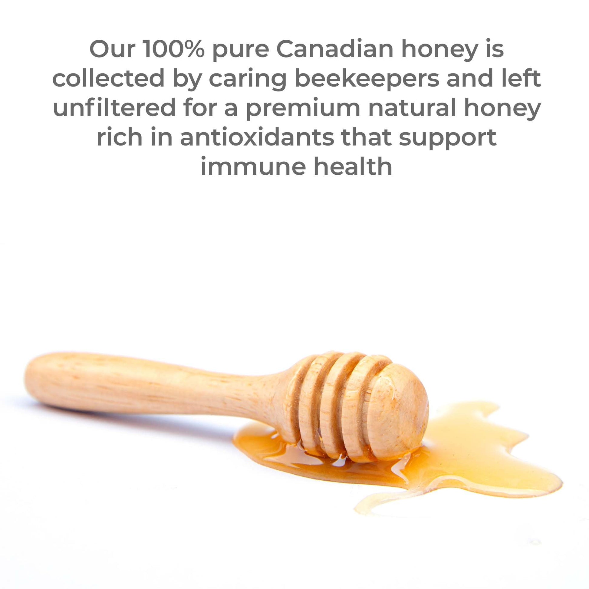 Premier Research Labs Canadian Gold Honey - Raw Honey, Pure Honey, Raw Unpasteurized Honey, Unfiltered, 100% Pure, Sugar-Free, Unprocessed Wildflower Honey - 1 lb Jar Premier Research LabsBuy Supplements Australia