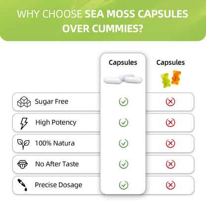 HEALOADING Sea Moss Capsules：Wildcrafted Organic Irish Seamoss & Bladderwack - Rich in Minerals, Supports Thyroid Health, Digestion, Skin & Immune System - Vegan, Non-GMO HEALOADINGBuy Supplements Australia
