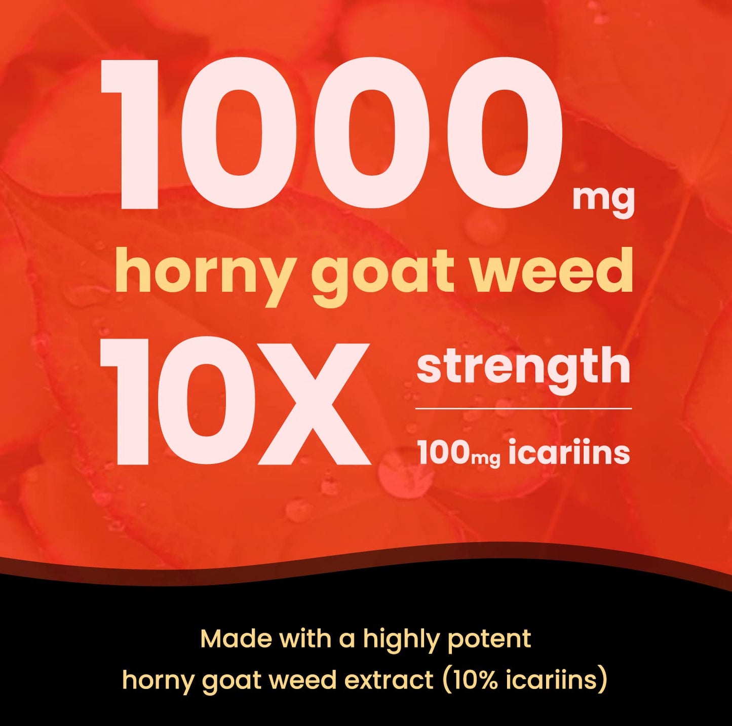 NutraChamps Horny Goat Weed, 1000mg Epimedium Energy Supplement, 10X Strength Icariin, Ginseng, Tribulus & Maca Pills for Women & Men, Enhanced Absorption with Black Pepper, 60 Vegan Capsules NutraChampsBuy Supplements Australia