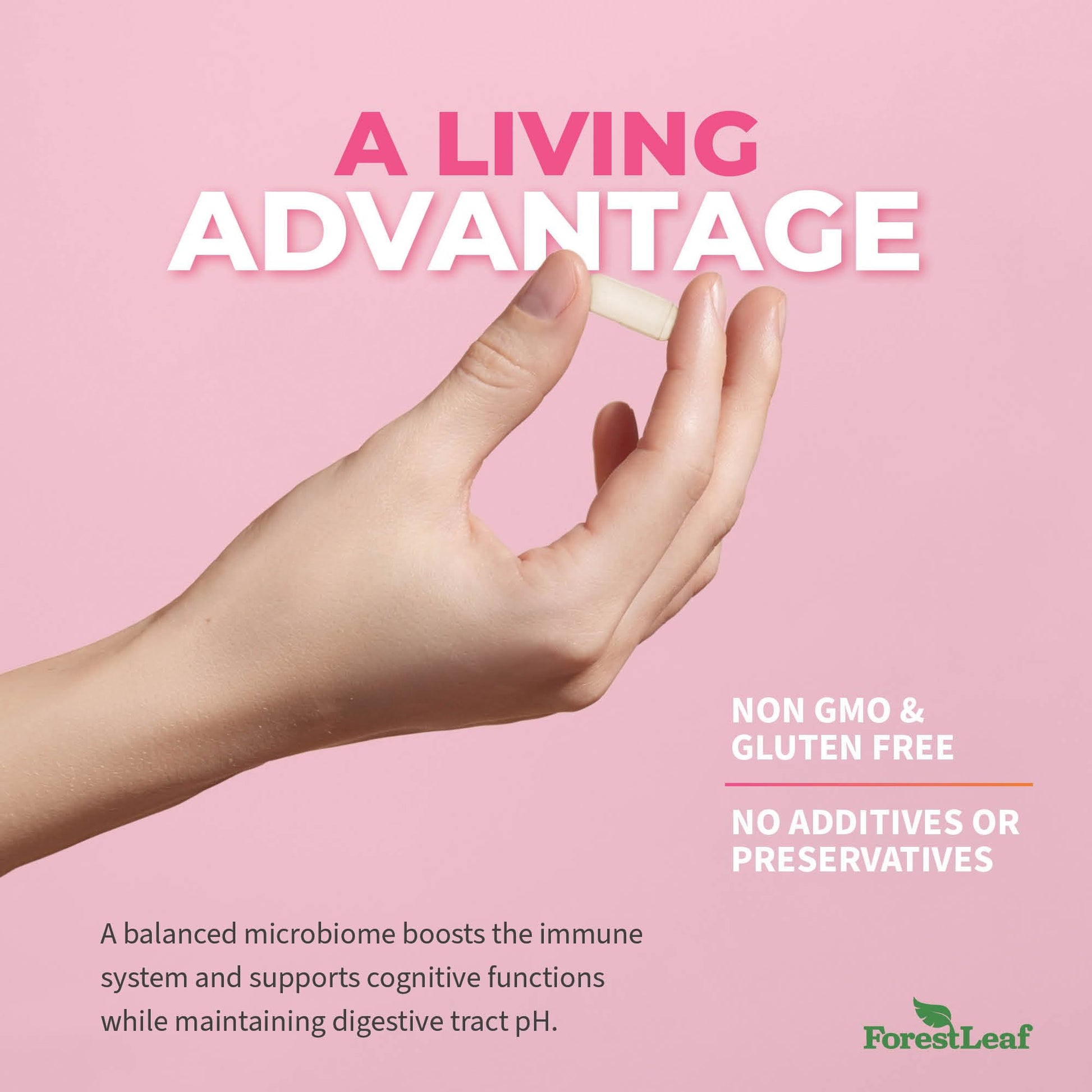 ForestLeaf Womens Probiotic 50 Billion CFU with Organic Prebiotics, Digestive Enzymes ForestLeafBuy Supplements Australia