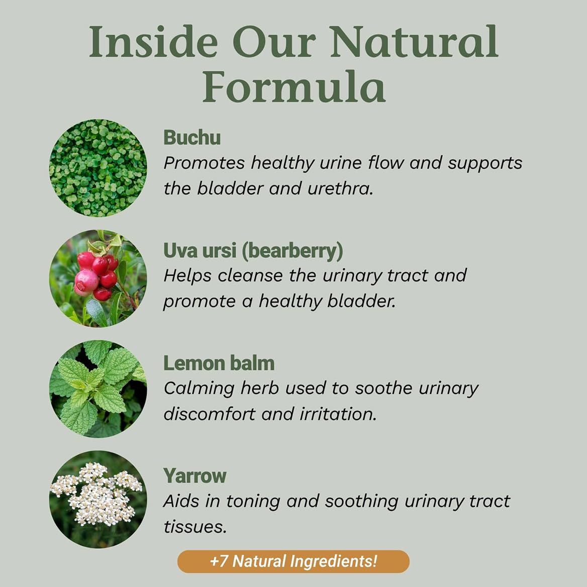 Native Remedies UTI-Clear for Urinary Tract and Bladder Health, 59 ml Native RemediesBuy Supplements Australia