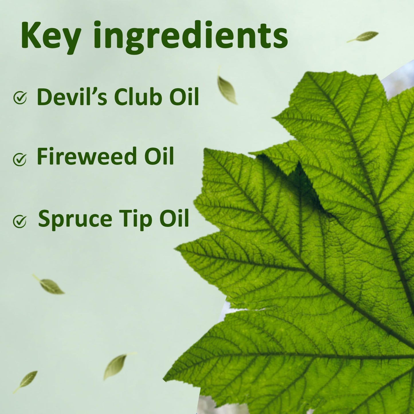 Snowy Summit Alaska Rainforest Salve - Herbal Salve for Dry Skin & Joint Relief - Natural Super Salve for Soothing Skin with Gentle Aroma - Body & Hand Salve - Muscle Rub with Alaskan Devil’s Club Oil Snowy SummitBuy Supplements Australia