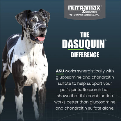Nutramax Dasuquin for Large Dogs, Joint Health Supplement, Contains Glucosamine for Dogs, Plus Chondroitin, ASU and More, Supports Healthy Joints, Chewable Tablets, 150 Count Nutramax LaboratoriesBuy Supplements Australia