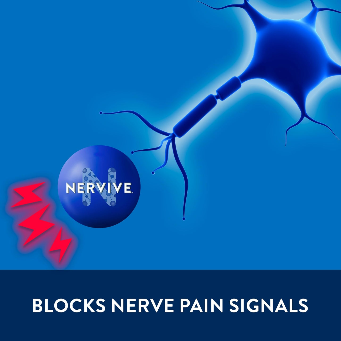 Nervive Pain Relieving Cream, Max Strength Non-Greasy Topical Pain Reliever with Lidocaine and Menthol for Toes, Feet, Fingers, Hands, Legs & Arms, 3.0oz NerviveBuy Supplements Australia