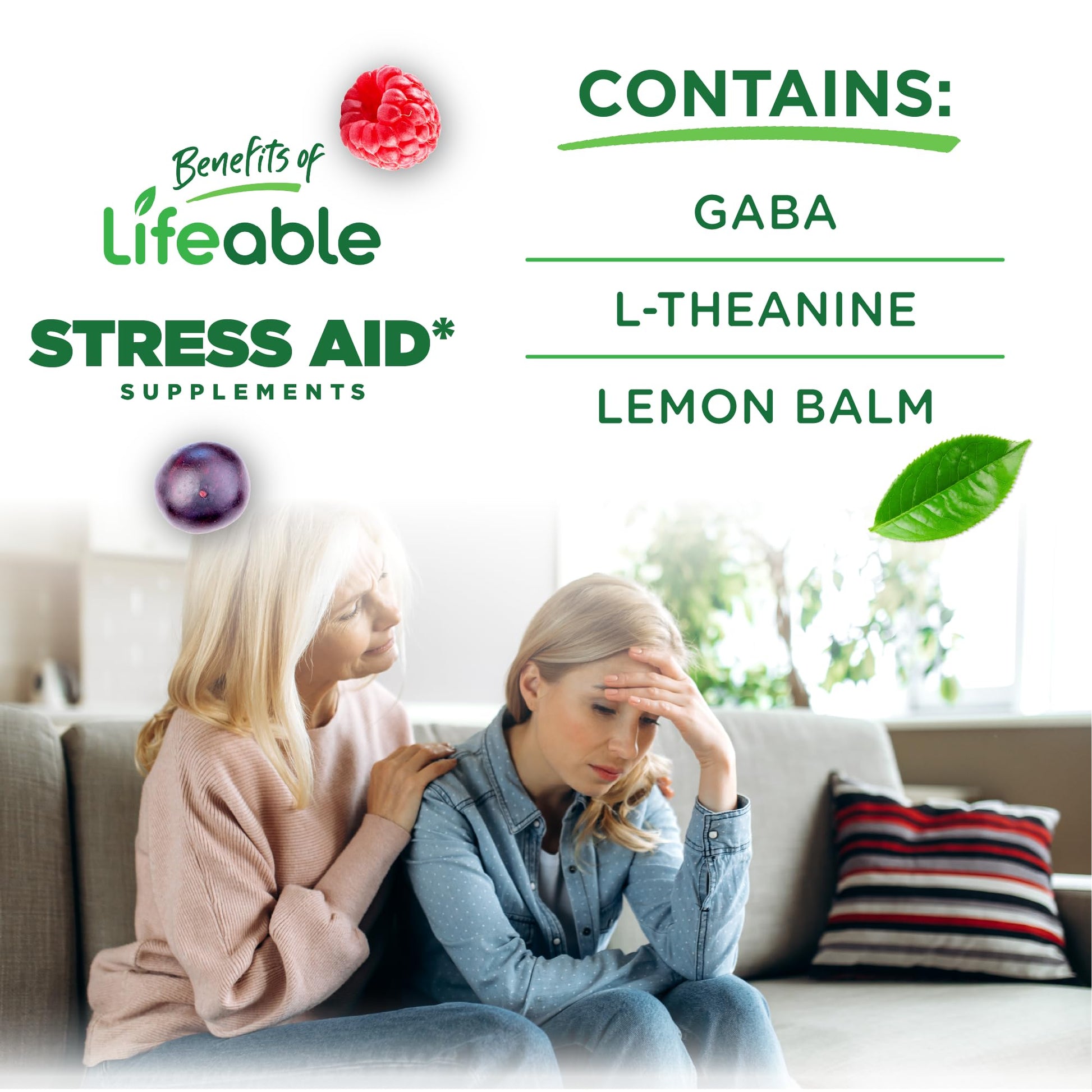Lifeable Stress Aid Gummies for Teens | with Lemon Balm, GABA and L Theanine Supplements | Vegan Non GMO Mood Support Supplement | Great Tasing Stress Vitamins | L-Theanine for Teen | 90 Gummies LifeableBuy Supplements Australia
