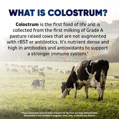 Vitamatic Bovine Colostrum 30% IgG Supplement 1500 mg per Serving - Supplement for Gut Health, Hair Growth, Beauty, Muscle Recovery, & Immune Support - 180 Veg Capsules VitamaticBuy Supplements Australia