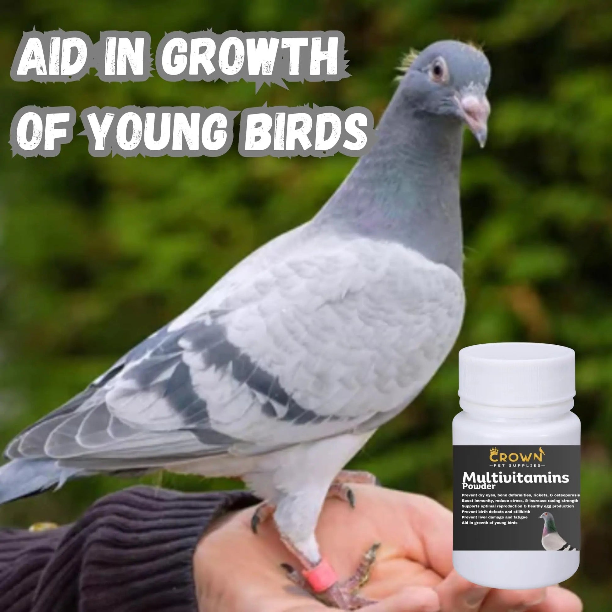 Multivitamin Powder for Pigeons – Ultimate Vitamin Formula for Racing & Breeding – Supports Growth, Bone Strength, Reproductive Health & Feather Health Crown Pet Supplies