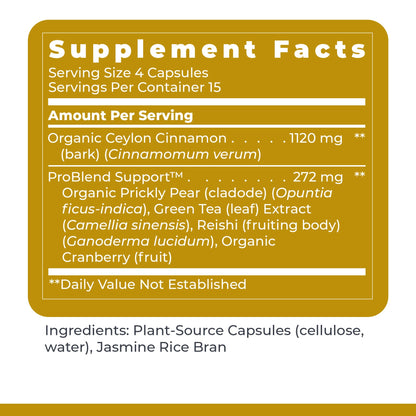 Premier Research Labs PancreVen - Pancreas Support, Pancreas Supplement, Cinnamon Supplements with Organic Ceylon Cinnamon & Prickly Pear to Aid Pancreas Health - 120 Vegetarian Capsules Premier Research LabsBuy Supplements Australia