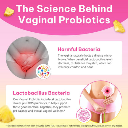 Onznoz Feminine Balance Gummies for Women, Vaginal Probiotics with Prebiotics & Lactobacillus Probiotic Blend, Supports pH Balance & Immune Health, Womens Probiotic Slippery Elm OnznozBuy Supplements Australia