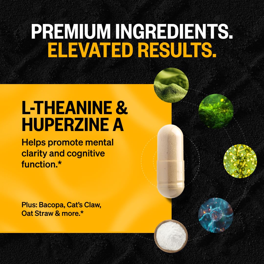 ONNIT Alpha Brain Nootropic Capsules for Men & Women, IGEN Non-GMO Tested Memory, Focus & Mental Clarity, with L-Theanine and Vitamin B6, 30 Count Each, Pack of 3 (90 Capsules) ONNITBuy Supplements Australia