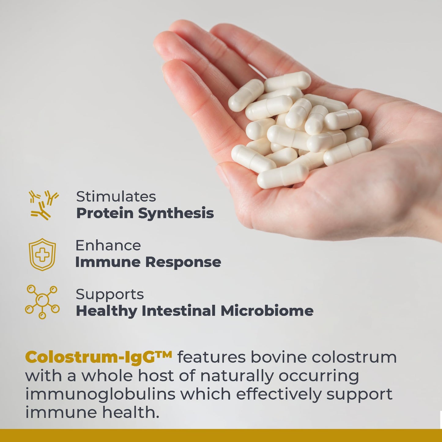 Premier Research Labs Colostrum-IgG - Colostrum Supplement, Bovine Colostrum for Humans, Cow Colostrum for Immune Health, Superfood with Lactoferrin, Amino Acids, Nucleotides - 60 Capsules Premier Research LabsBuy Supplements Australia