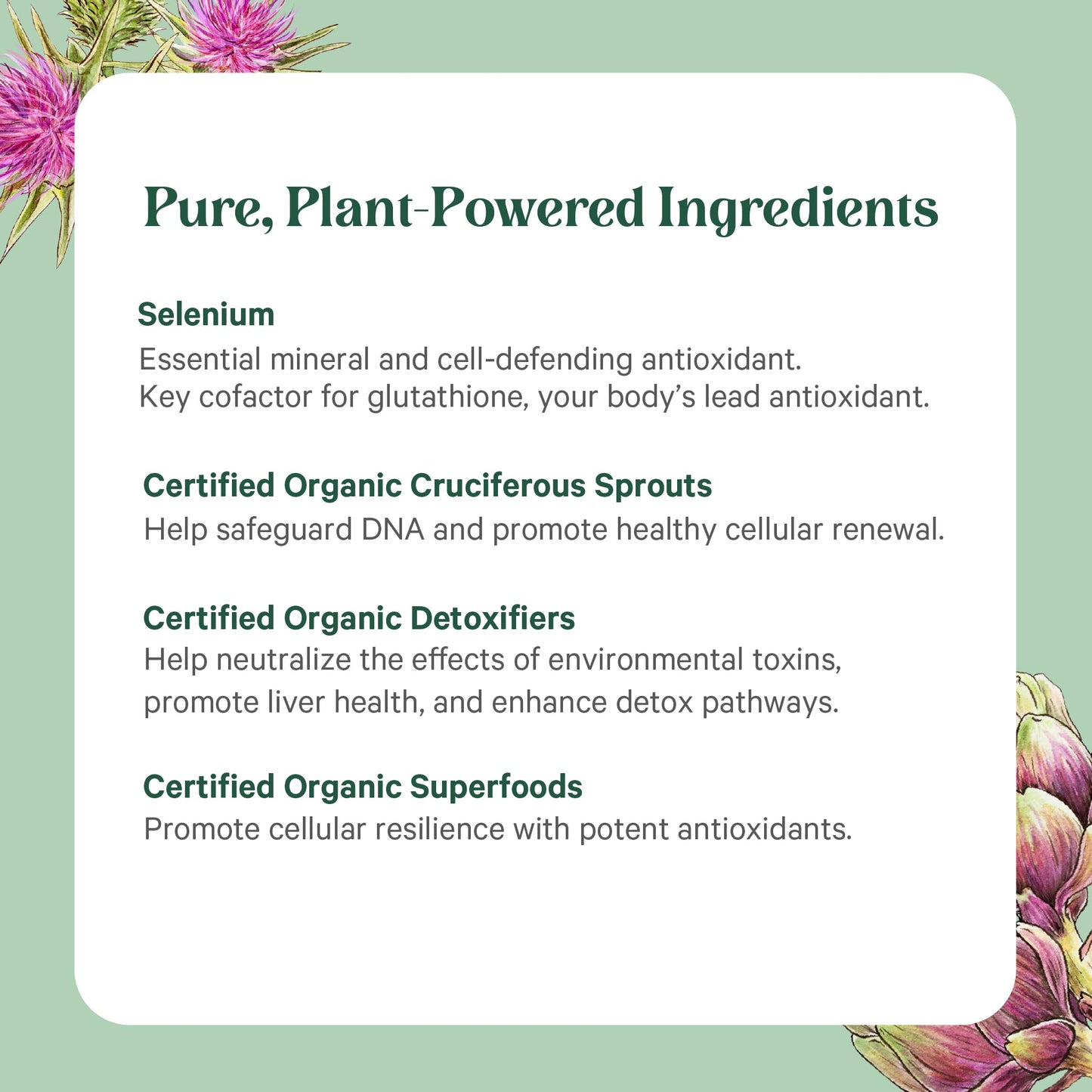 PURE SYNERGY Cell Protector | Cellular Health Supplement | Cell and Immune Support with Selenium and Organic Cruciferous Vegetables | for Healthy Aging & Detoxification (120 Capsules) PURE SYNERGYBuy Supplements Australia