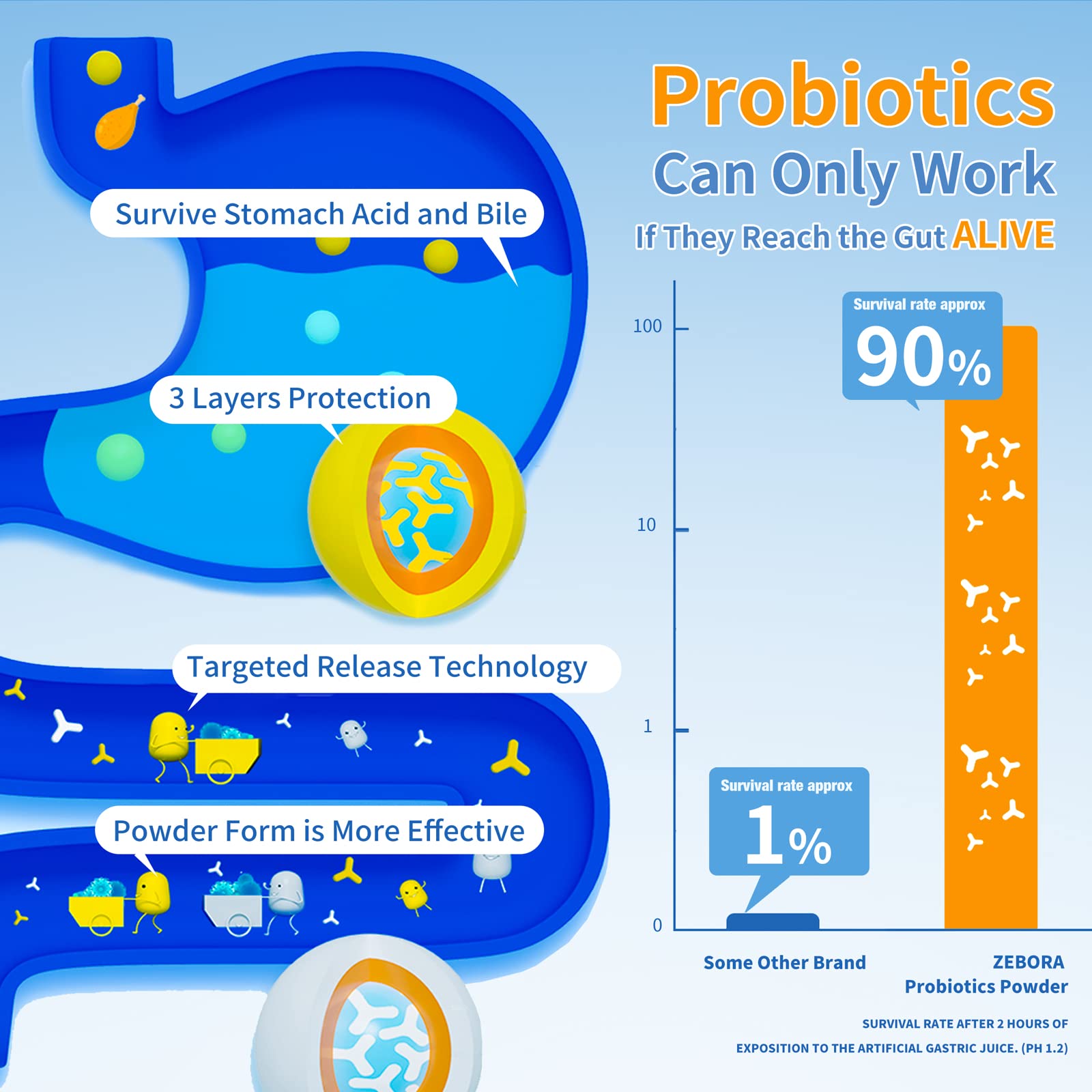 ZEBORA Probiotics for Women, Men and Kids, Prebiotics and Probiotics Powder ZEBORABuy Supplements Australia