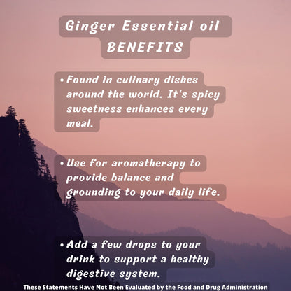 USDA Organic Ginger Essential Oil – Therapeutic Grade- Diffuser Oil - 100% All Natural - with Glass Dropper Grimweed ApothecaryBuy Supplements Australia