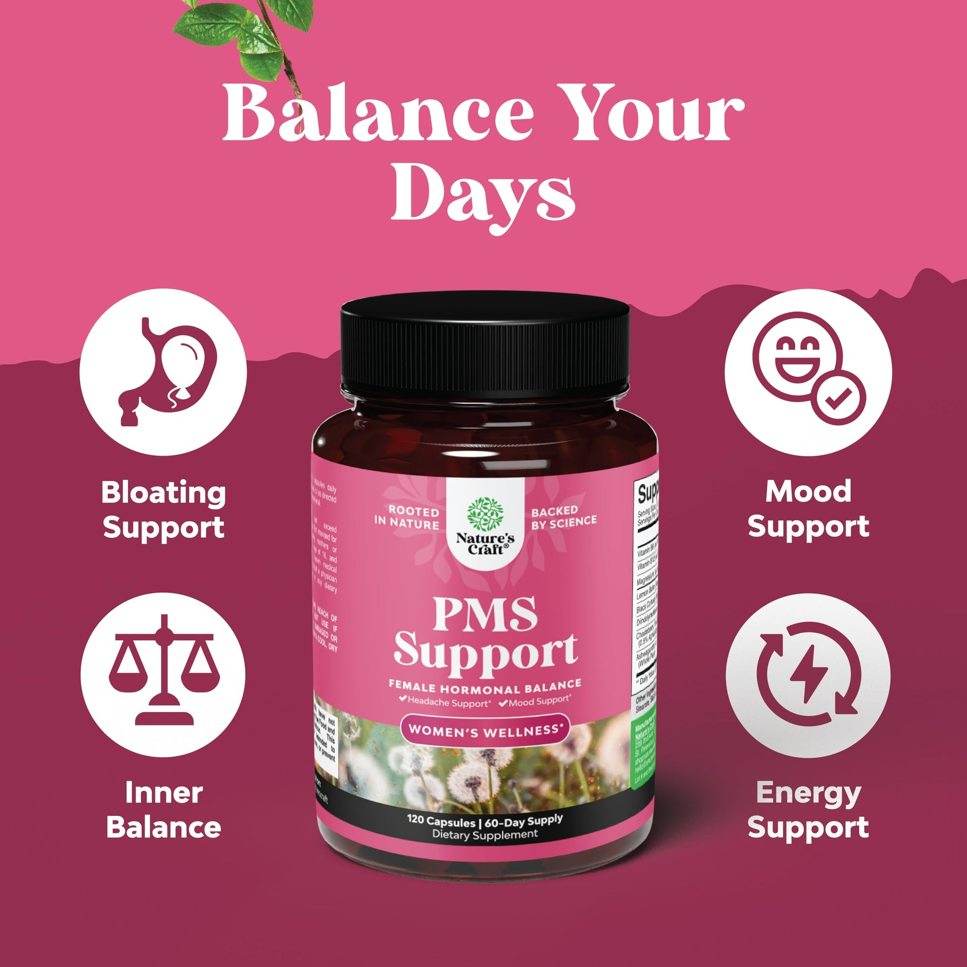 PMS Support Supplement for Women – Hormone Balance for Women & Menstrual Discomfort with DIM, Chasteberry, Black Cohosh & Ashwagandha - for Period Cramps Ease, Menopause Bloating, Mood Swing – 120 Ct Natures CraftBuy Supplements Australia