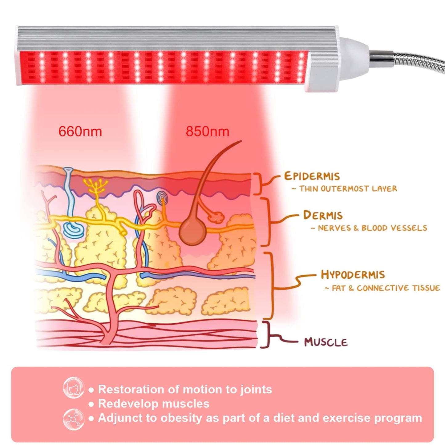 MAINENG Infrared & Red Light Therapy Lamp with Timer, 660nm & 850nm LED - M7685 MAINENGBuy Supplements Australia