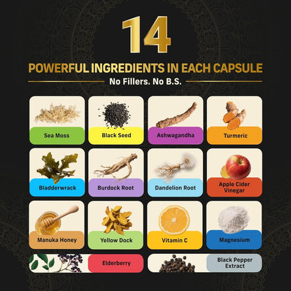 Alpha Tribe Multivitamin for Men with Sea Moss, Black Seed Oil, Ashwagandha, Turmeric, Bladderwrack, Burdock, Vitamin C, Elderberry, Manuka | Daily Vitamins & Minerals Supplement Capsules - 240 Count Alpha TribeBuy Supplements Australia