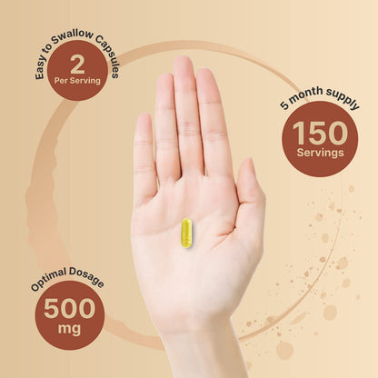 NatureBell Quercetin 500mg Per Serving | 300 Capsules, Ultra Strength Quercetin NatureBellBuy Supplements Australia
