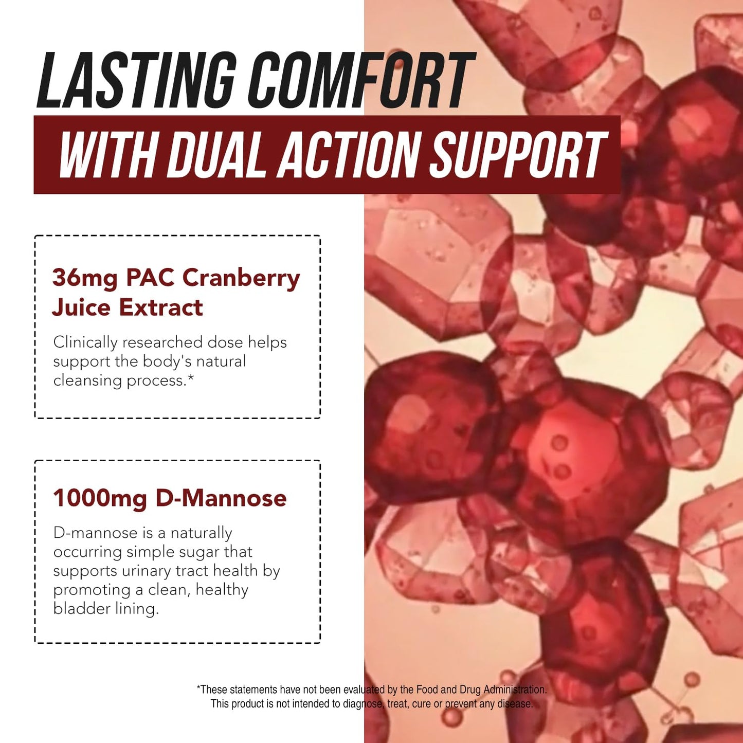 CranEaze®: Cranberry Juice Extract Plus D-Mannose – 36 mg PAC, 100% Soluble PAC - Supports Urinary Tract Health – Most Effective Cranberry Pills for Women,