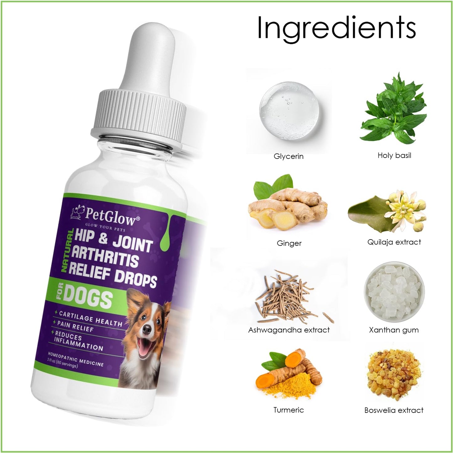 Petglow® Natural Hip & Joint Arthritis Relief Drops with Curcumin & Boswellia, Homeopathic Anti-Inflammatory Formula for Dogs, Cats & Horses, Supports Flexibility, Comfort & Mobility Naturally PetglowBuy Supplements Australia