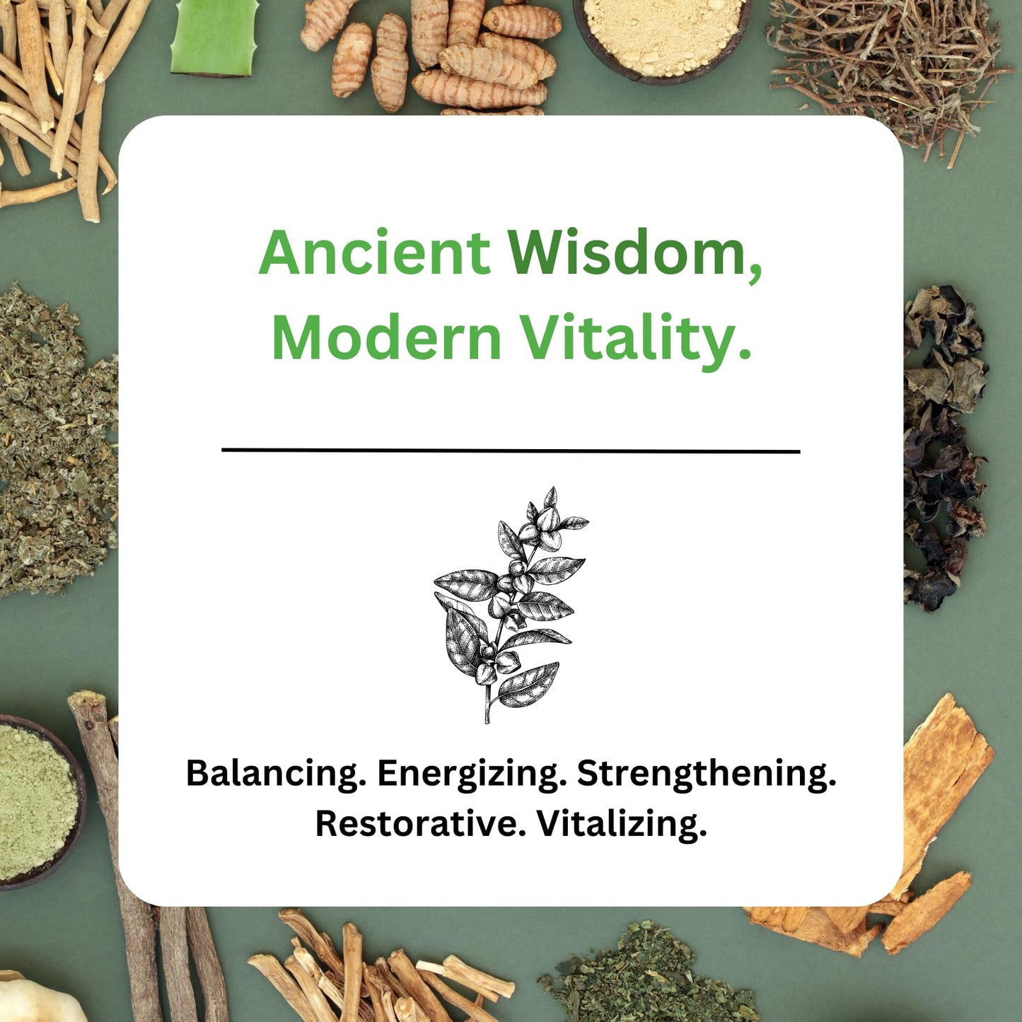 Paradise Herbs, Imperial Adaptogens, with Ashwagandha, Astragalus, Rhodiola, Proprietary Adaptogen Blend for Stress Support, Focus & Energy, 60 Vegetarian Capsules Paradise HerbsBuy Supplements Australia