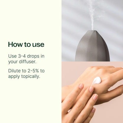 Plant Therapy Lavender Essential Oil 100% Pure, Undiluted, Therapeutic Grade, Aromatherapy Diffuser Plant TherapyBuy Supplements Australia