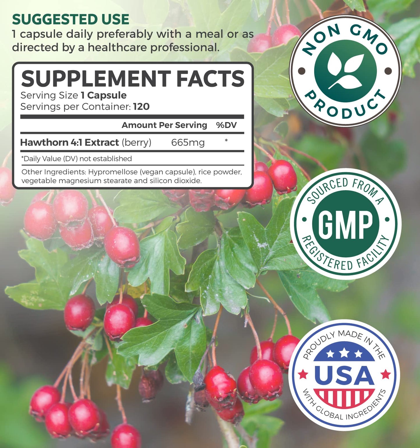 Hawthorn Berry Capsules - 4 Month Supply Digestion & Heart Health Supplement Healths HarmonyBuy Supplements Australia