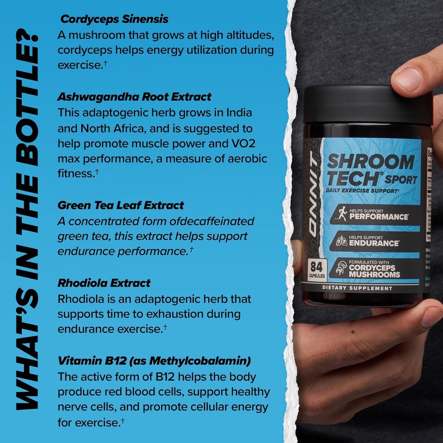 ONNIT Cognitive & Endurance Support Bundle: Alpha Brain Nootropic Capsules (30 Count) + Shroom Tech Sport Exercise Support Capsules (28 Count), IGEN Non-GMO Tested Focus, Energy & Endurance, 2 Pack ONNITBuy Supplements Australia