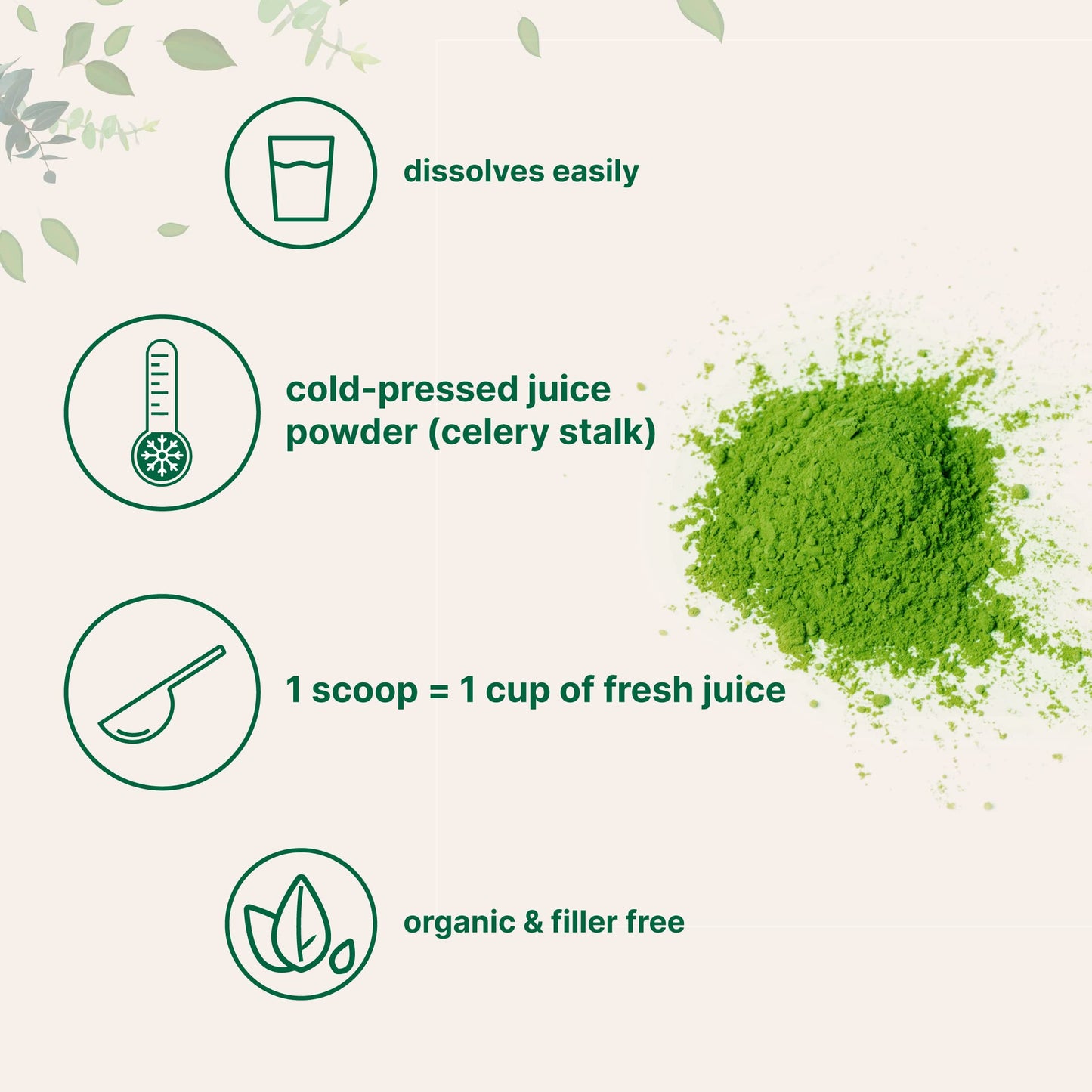 Organic Celery Juice Powder, 20 Ounce (1.25 Pound), 71 Serving, Celery Detox and Cold Micro IngredientsBuy Supplements Australia