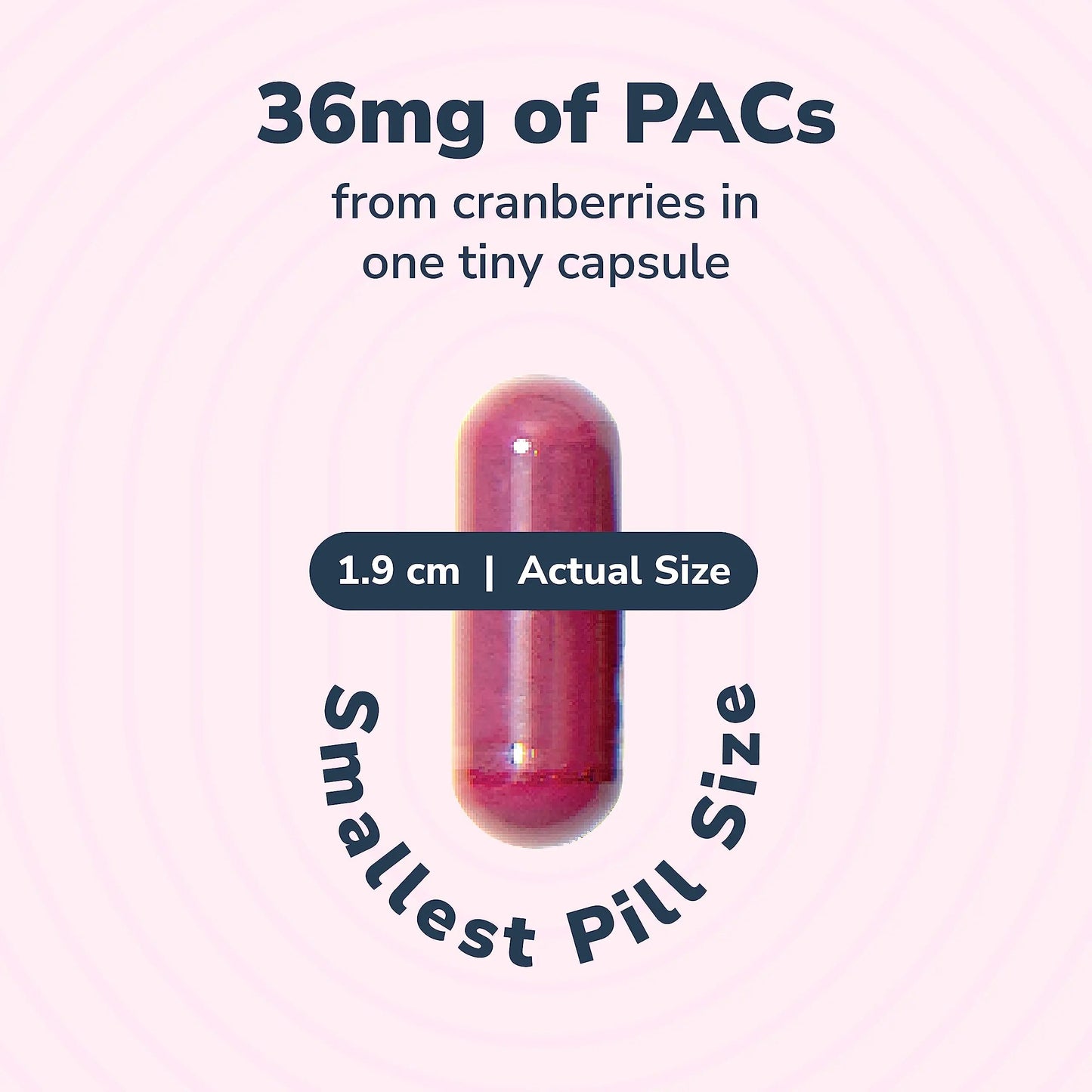 20% Bundle Utiva Cranberry PACs 30 Vegi Capsules Cranberry Supplement for Urinary Tract Health for Women and Men + Utiva D-Mannose 500mg 120 Capsules Naturally Flush The Bladder and Urinary Tract Szio+Buy Supplements Australia