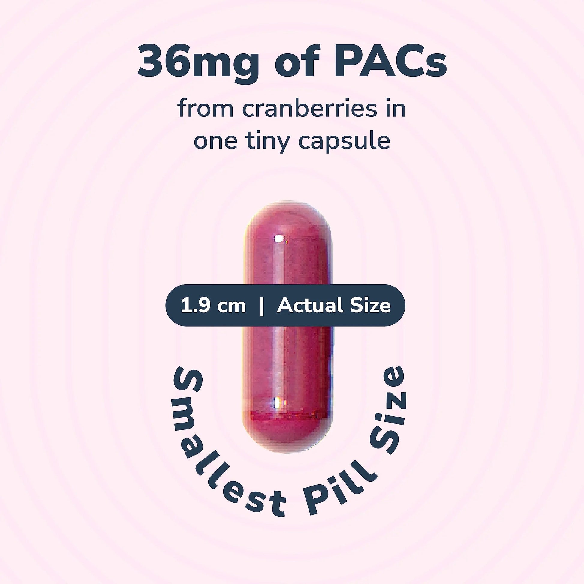 20% Bundle Utiva Cranberry PACs 30 Vegi Capsules Cranberry Supplement for Urinary Tract Health for Women and Men + Utiva D-Mannose 500mg 120 Capsules Naturally Flush The Bladder and Urinary Tract Szio+Buy Supplements Australia