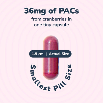 20% Bundle Utiva Cranberry PACs 30 Vegi Capsules Cranberry Supplement for Urinary Tract Health for Women and Men + Utiva D-Mannose 500mg 120 Capsules Naturally Flush The Bladder and Urinary Tract Szio+Buy Supplements Australia