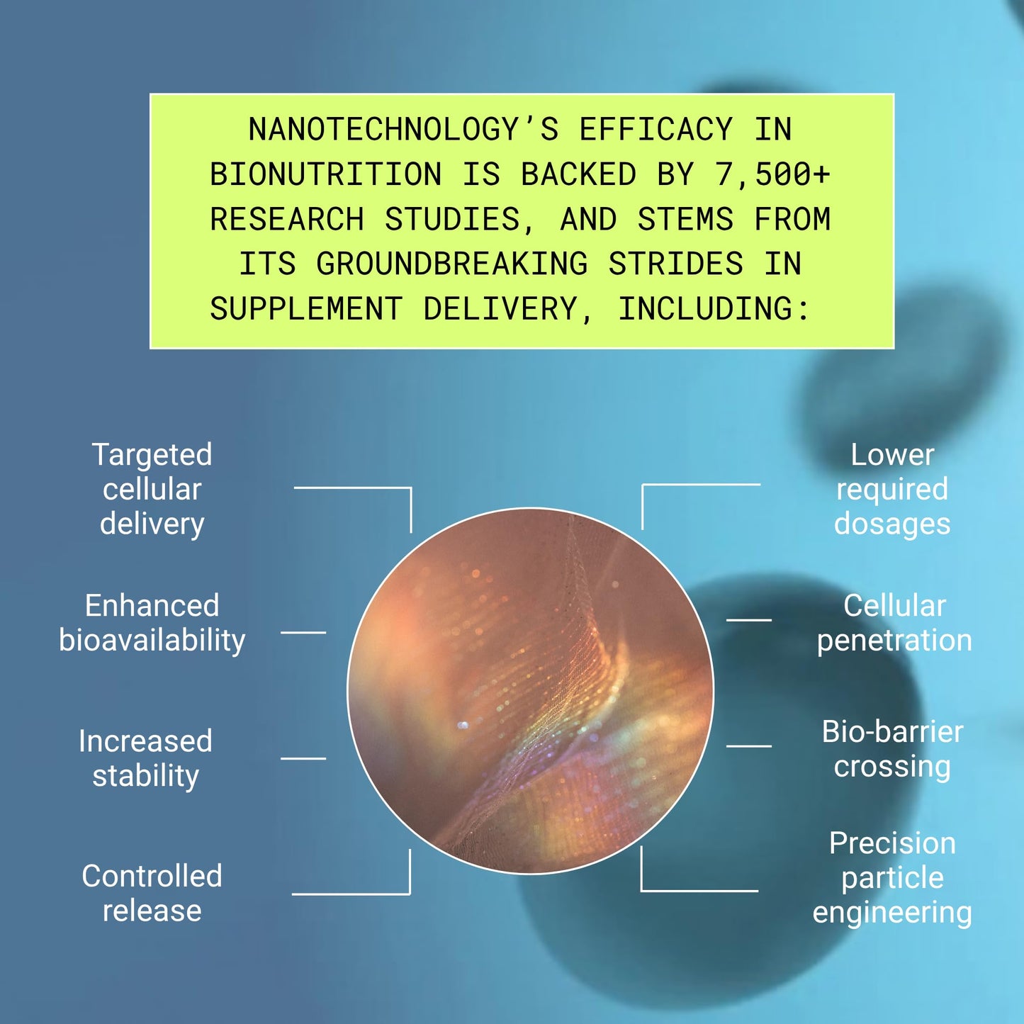 Essential Brain Health Supplements Nootropic for Memory and Focus – for Adults with NanoCap® Technology, Phosphatidylserine, Bacopa, Ginkgo Biloba, Omega 3, B6, B12, 60 Softgels by Greedy® Nutrition Platinum HealthBuy Supplements Australia