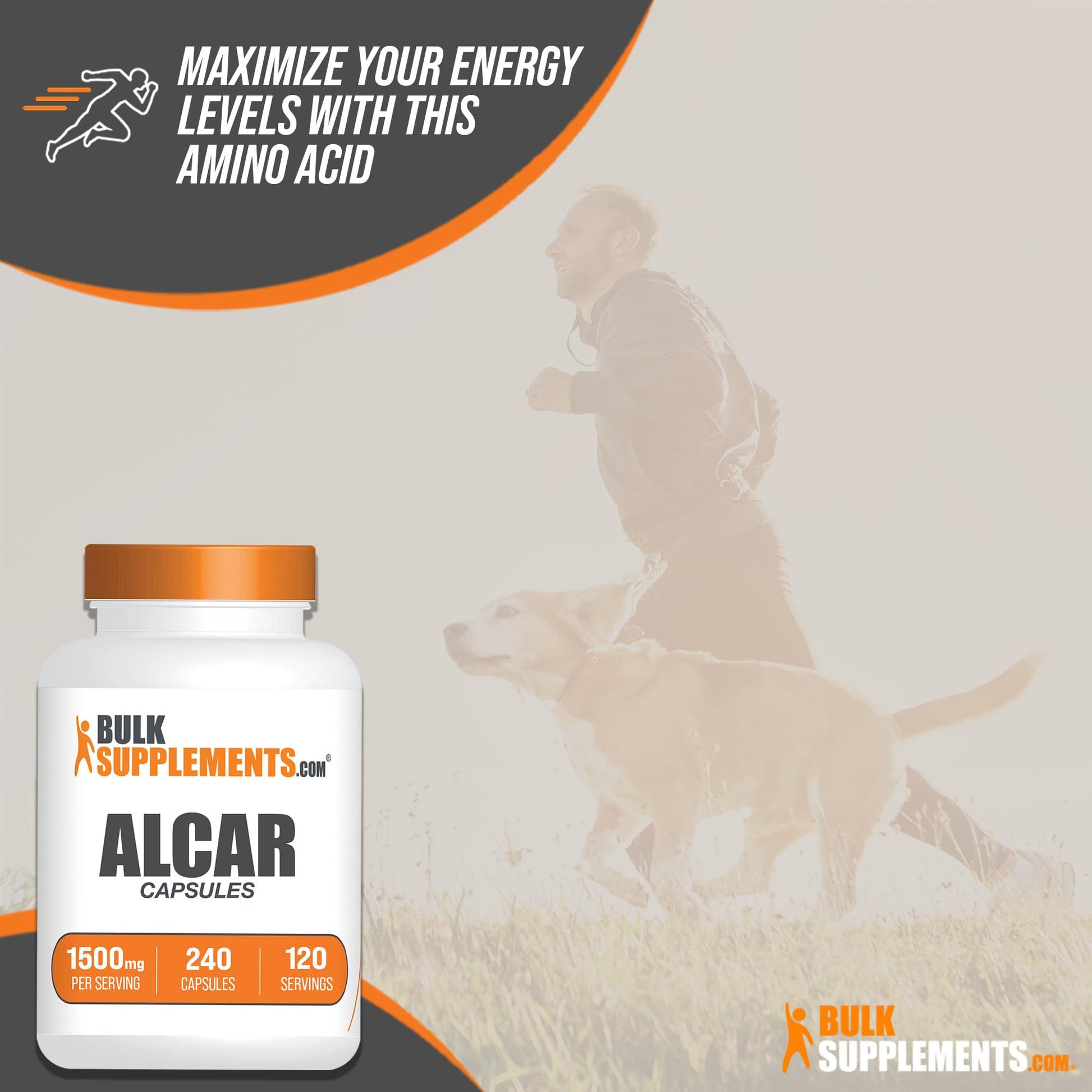 BULKSUPPLEMENTS.COM Acetyl L-Carnitine Capsules - ALCAR HCl, Carnitine Supplement BULKSUPPLEMENTS.COMBuy Supplements Australia