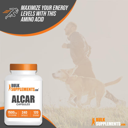 BULKSUPPLEMENTS.COM Acetyl L-Carnitine Capsules - ALCAR HCl, Carnitine Supplement BULKSUPPLEMENTS.COMBuy Supplements Australia