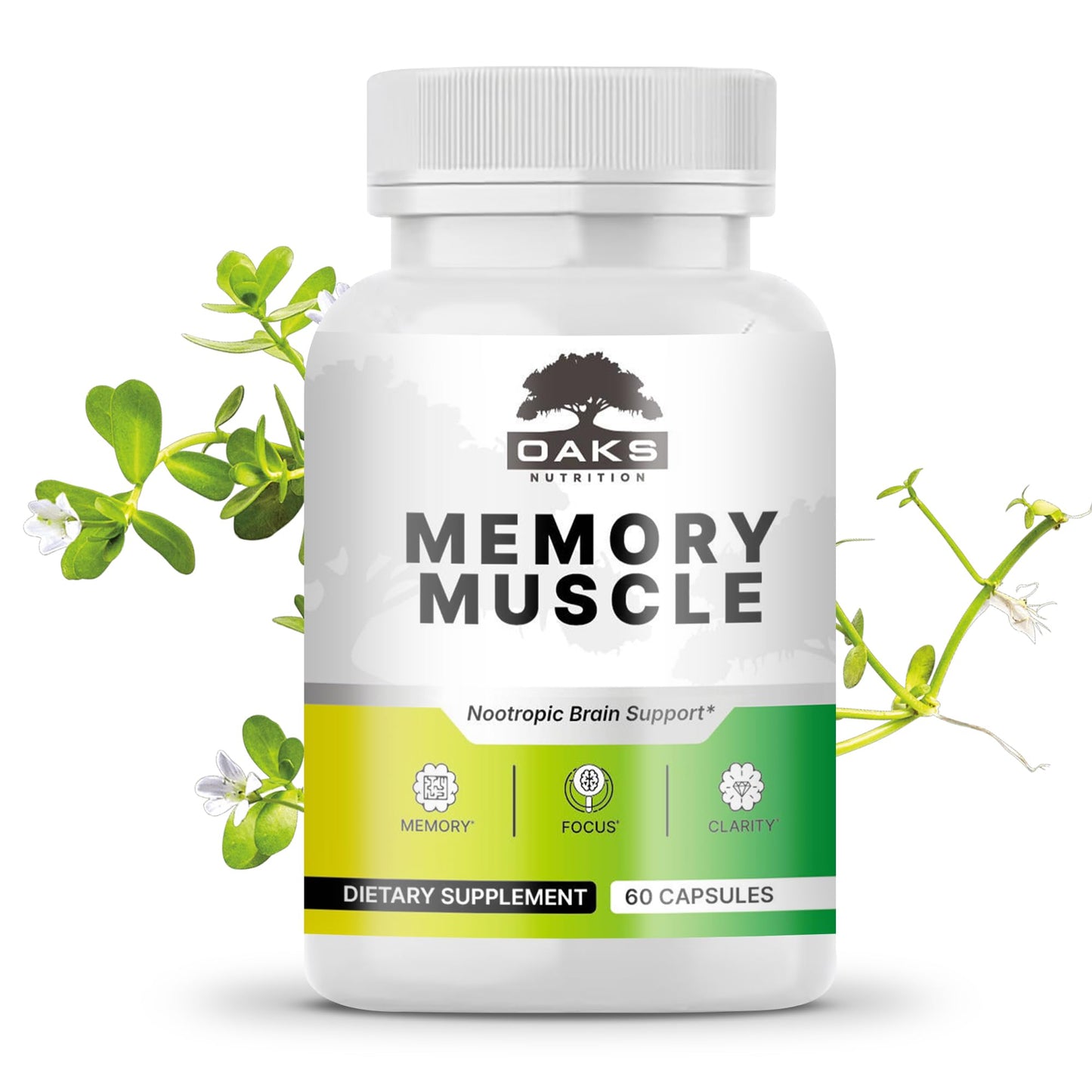 Memory Muscle – Advanced Nootropic Brain Supplement with Vitamin B12, Bacopa Monnieri & DMAE for Focus, Memory, Mental Clarity & Clean Energy – Premium Cognitive Support Formula Oaks NutritionBuy Supplements Australia