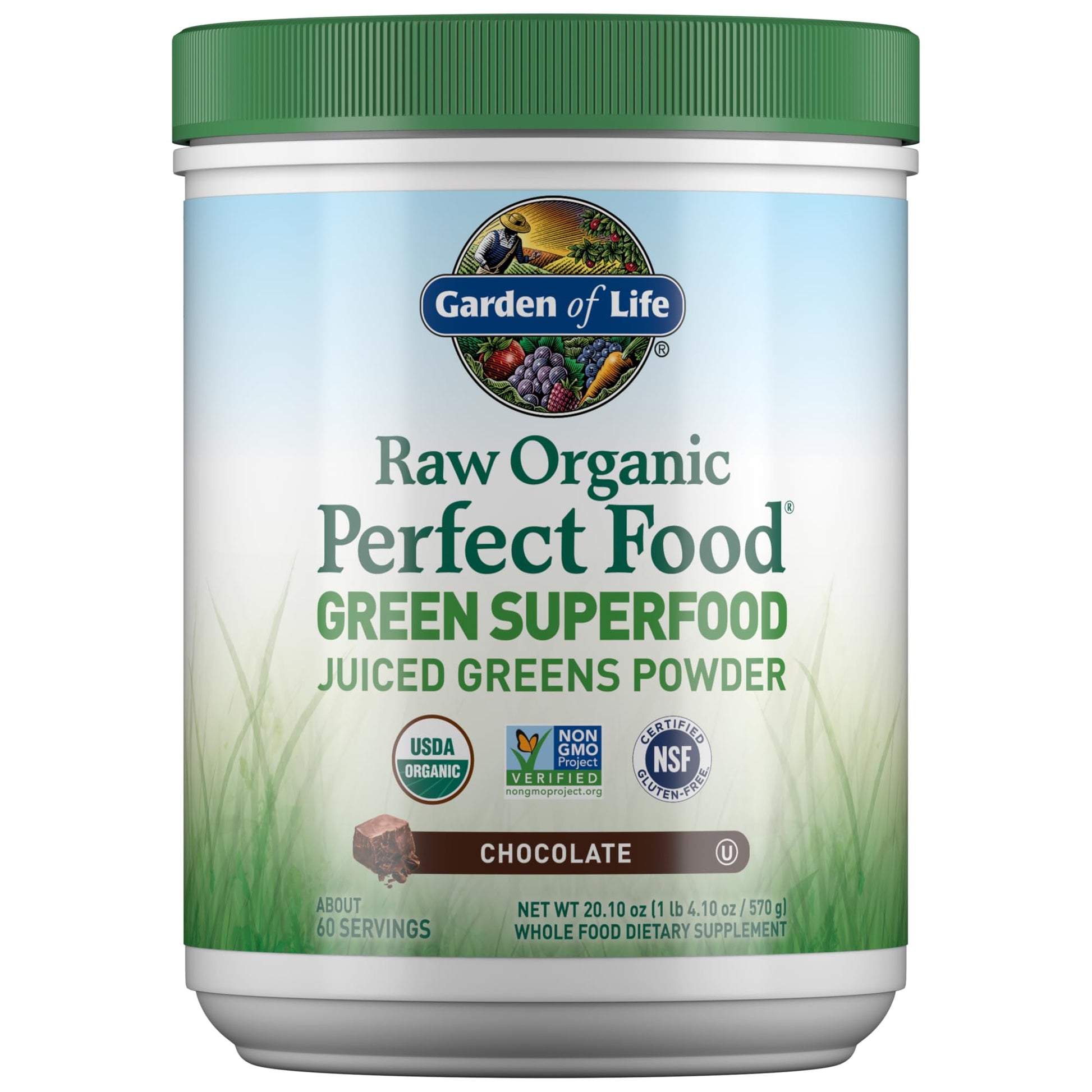 Garden of Life Raw Organic Perfect Food Green Superfood Juiced Greens Powder - Chocolate, 60 Servings, Non-GMO, Gluten Free, Vegan Whole Food Dietary Supplement Plus Probiotics, Enzymes Garden of LifeBuy Supplements Australia