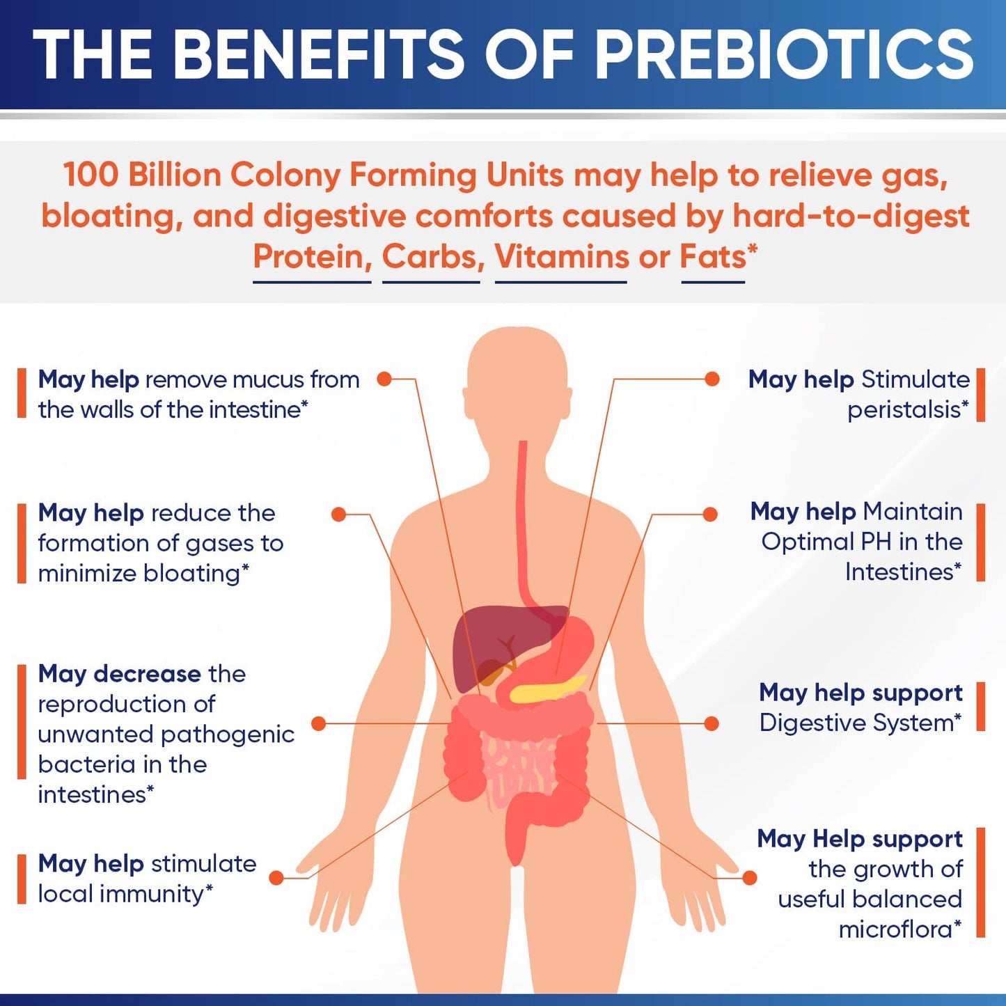 Organic Probiotics 100 Billion CFU, Dr Formulated Probiotics for Women, Probiotics Wholesome WellnessBuy Supplements Australia