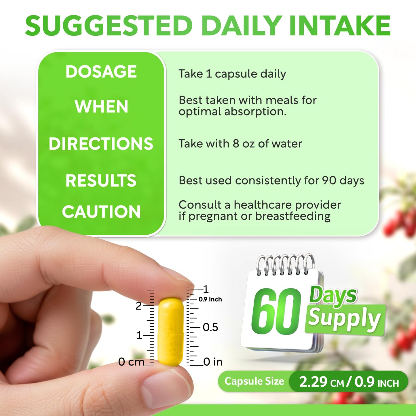 Dalnara Dihydroberberine Capsules 250mg, 60 Count - Supports Metabolic Wellness & Balanced Energy, Non-GMO,Dihydroberberine Supplement DalnaraBuy Supplements Australia